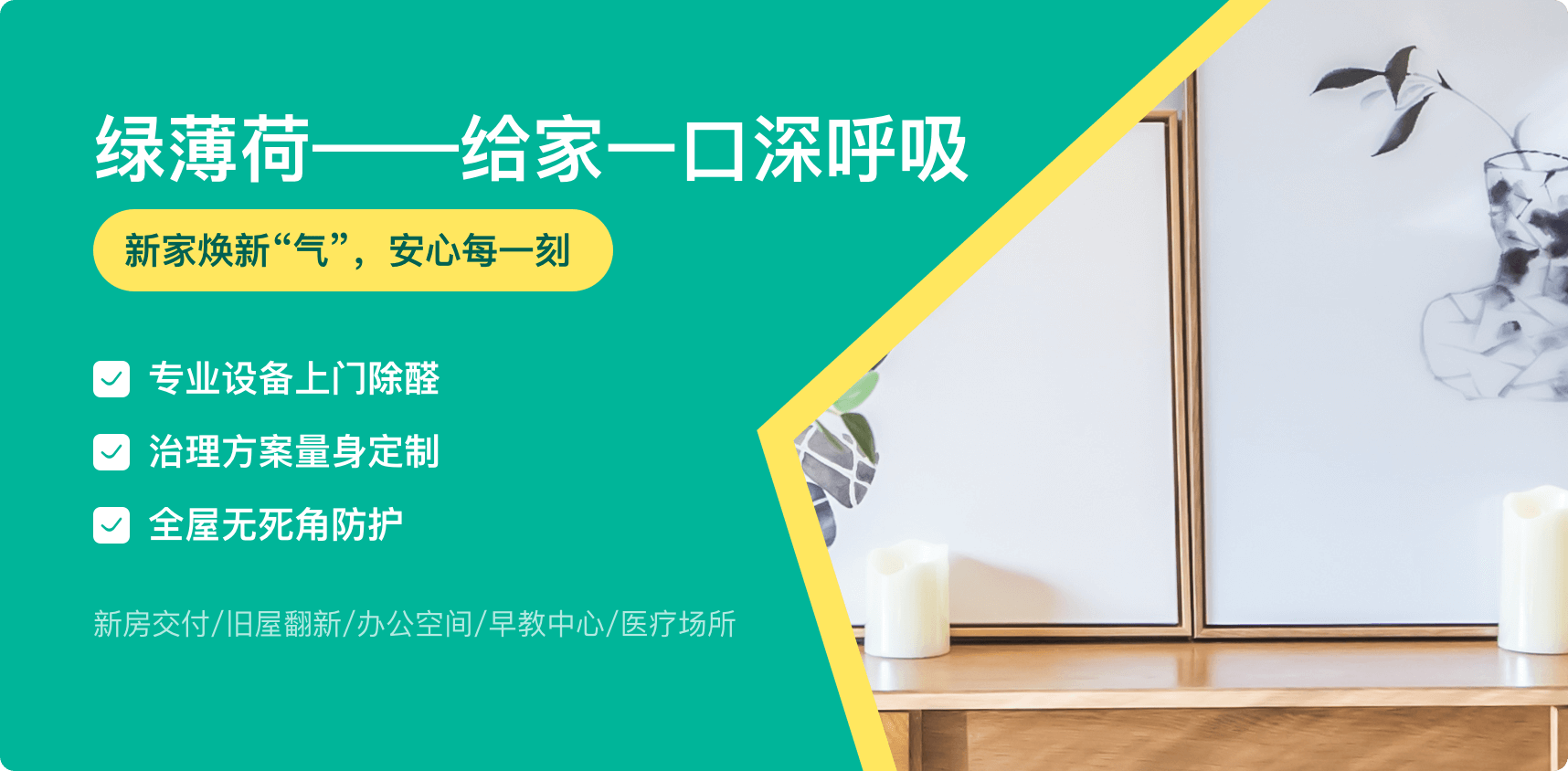 绿薄荷除甲醛
